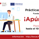 Las universidades españolas ofrecen  297 becas para personas con discapacidad